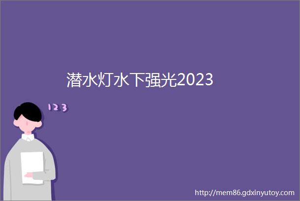 潜水灯水下强光2023